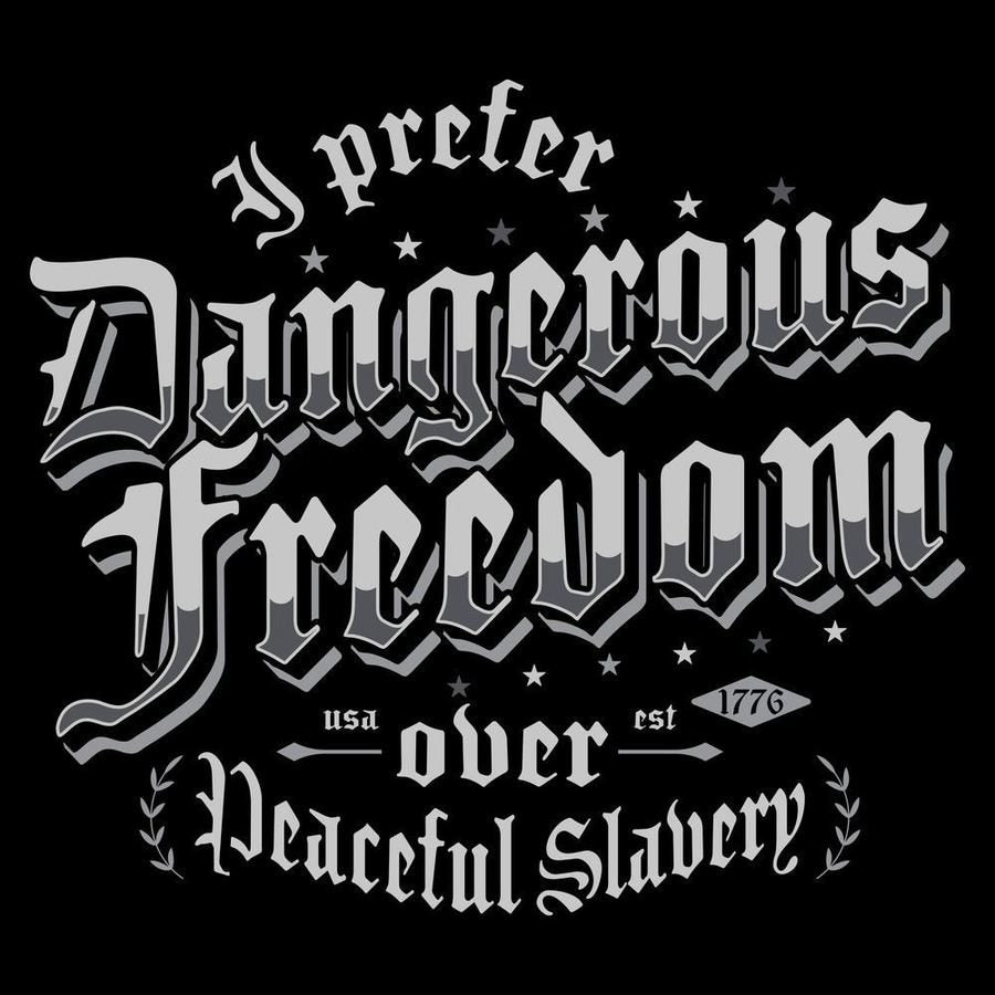 Dangerous Freedom T-Shirt - Black - Image 3